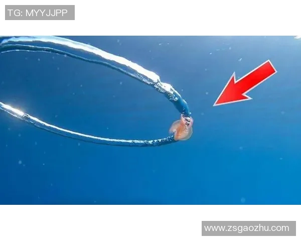蛙泳呼吸技巧全面解析：如何掌握呼吸节奏与姿势，提升游泳效率
